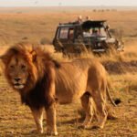 Tanzania Safaris by Afrozone Kingdom Safaris Limited